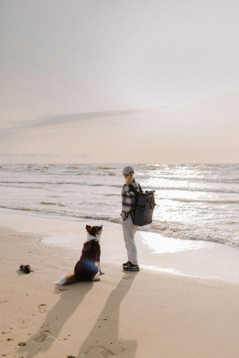 vlasnik i pas -pet friendly plaže Crna Gora