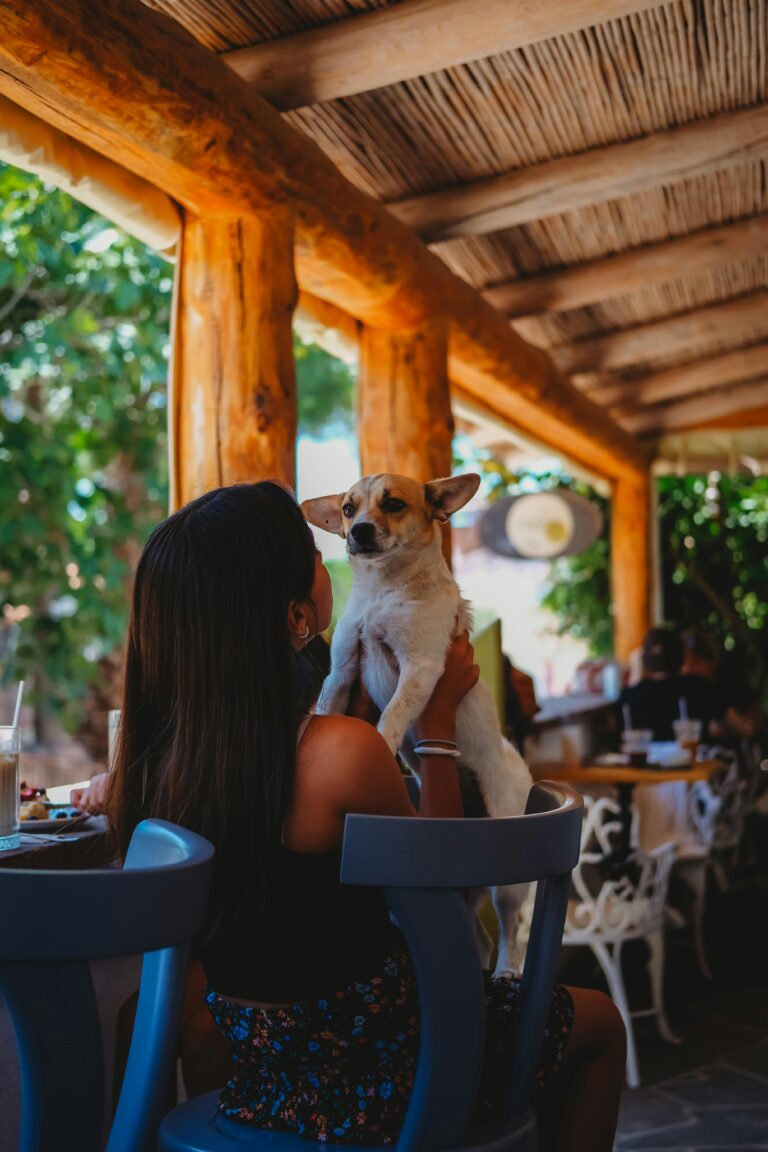 Psi su dobrodošli: Najbolji pet-friendly restorani u Beogradu i Novom Sadu (ažurirano za 2025.)