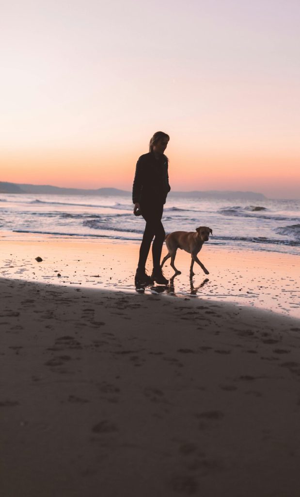Pet friendly destinacije na Balkanu – pas na plaži
