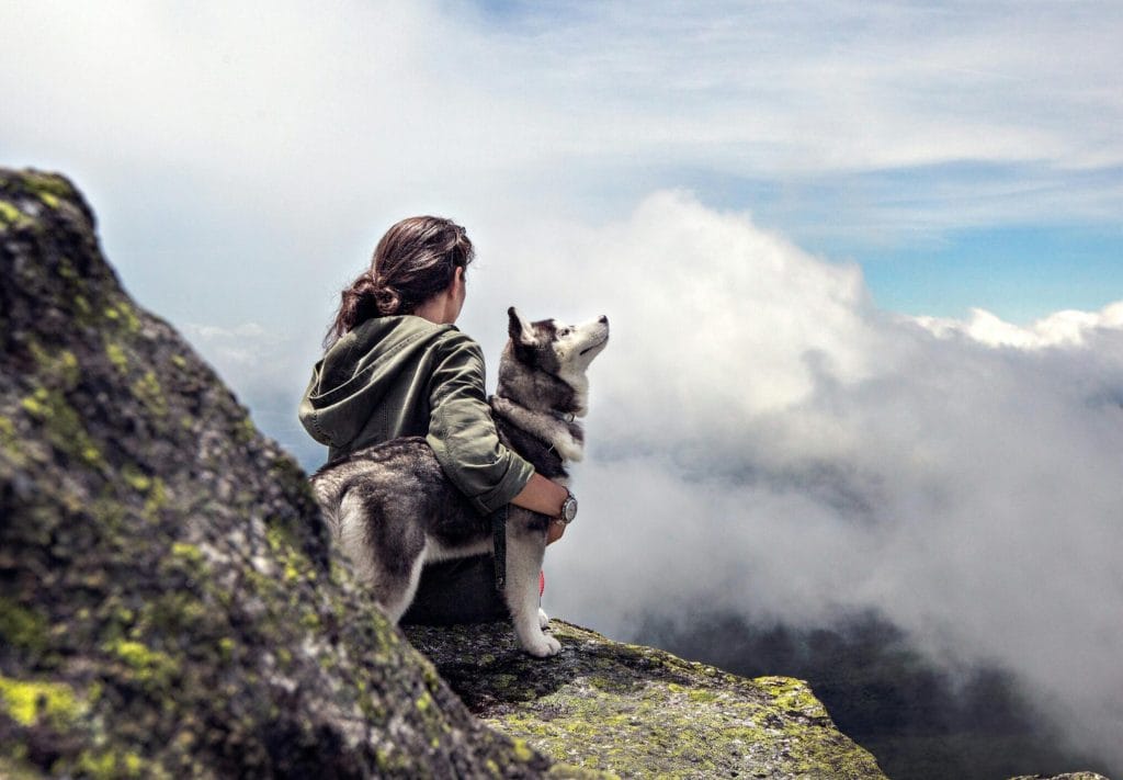 Putovanje sa psom po Balkanu – odmor sa ljubimcem