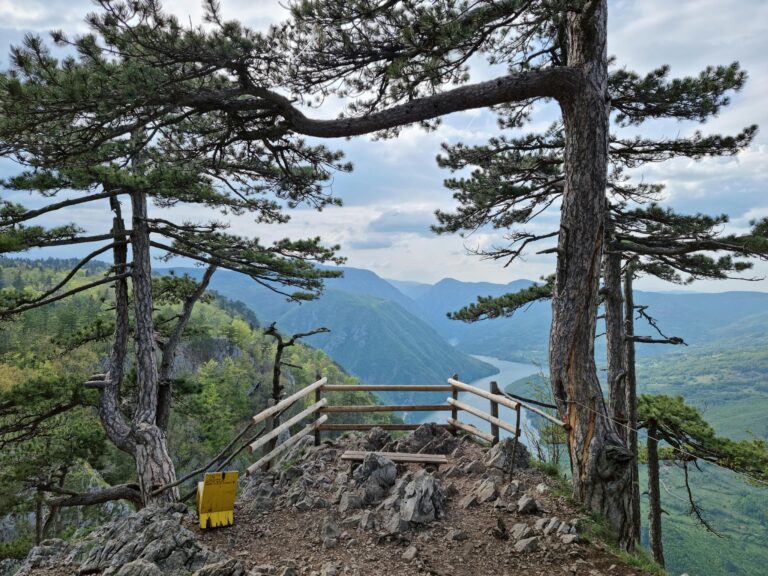 Planina tara pet friendly