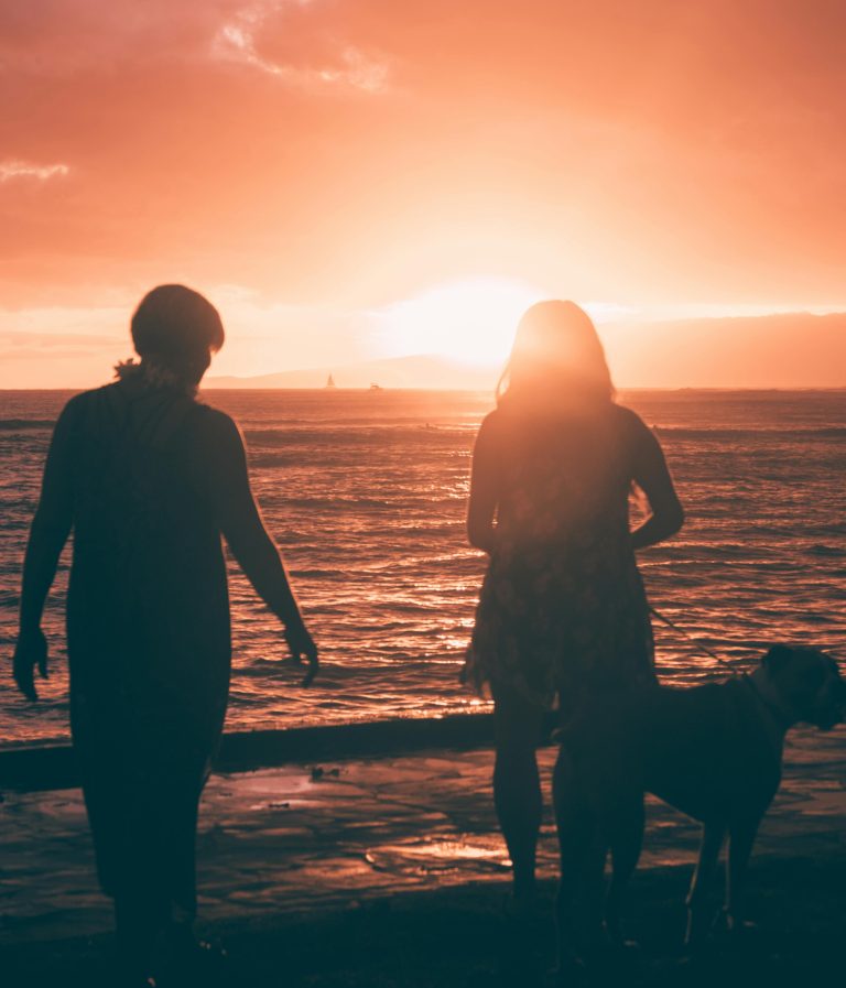 Pas na plaži sa trakerom