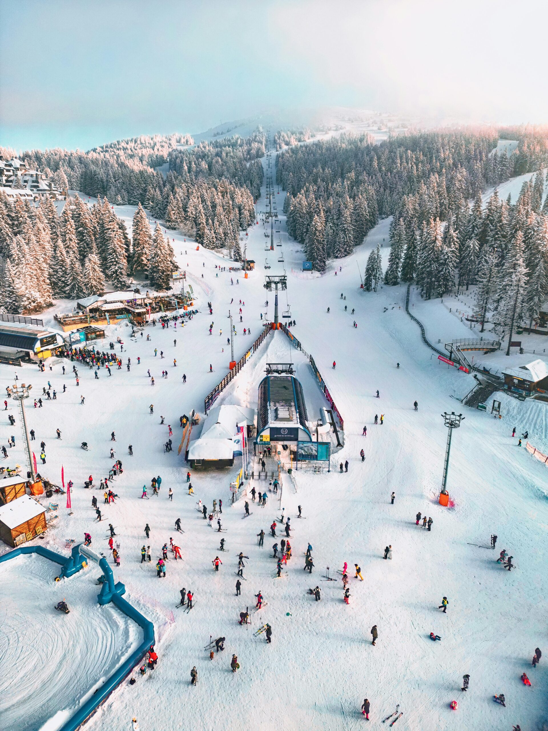 Veliki pas na planini – Gorski hotel Kopaonik